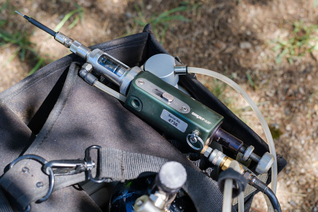 How Dormant Pruning Can Enhance Your Shrubs and Plants